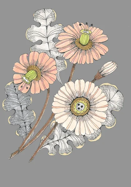 Patroon Met Waterverf Bloemen Gerbera Bloemensamenstelling Voor Decoratiepapier Stof — Stockfoto