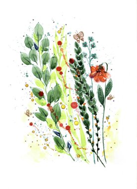 Beyaz arka planda suluboya ile boyanmış çayır çiçekleri. Dekorasyon için resim.