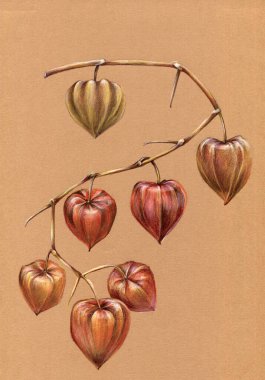  Renkli kalemlerle bej arkaplan çiziminin bir resmi. Sonbahar çizimi.