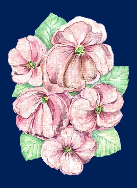 Fiori Con Foglie Disegnano Matite Colorate Illustrazione Decorazione — Foto Stock