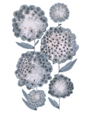 Yaprakları kalemle çizilmiş karahindiba çiçekleri. Dekorasyon için resim.