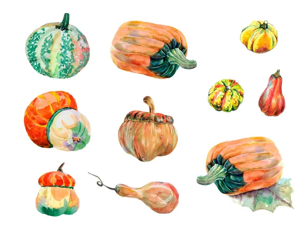 Set Multicolored Pumpkins Decoration Cards Your Project Watercolor Illustration — Photo