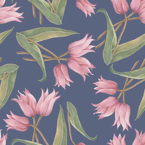 Delicate pink tulips drawing in color pencils on blue background. Spring floral seamless pattern for fabric.