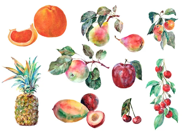 Set Multicolored Fruit Leaves Decoration Cards Your Project Watercolor Illustration — ストック写真