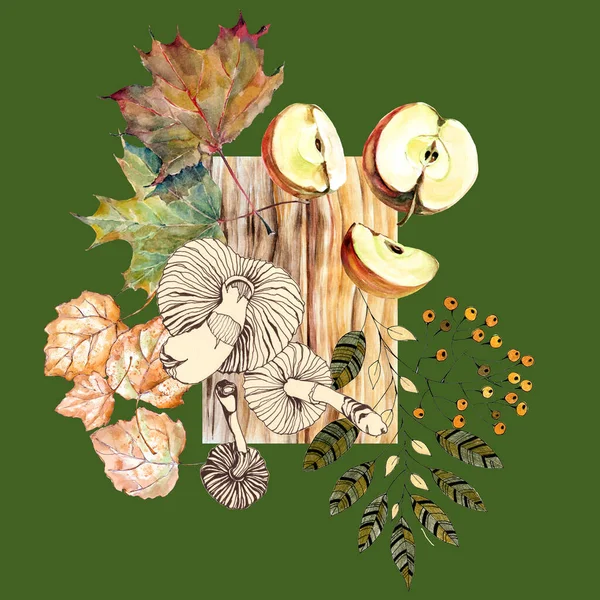Set Different Leaves Fruit Elements Decoration Cards Your Project Illustration — Foto Stock