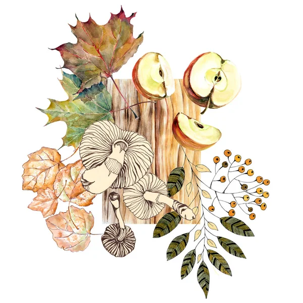 Set Different Leaves Fruit Elements Decoration Cards Your Project Illustration — Photo