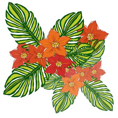  Dekoratif çiçekler dizayn için narsisttir. Beyaz arka planda çiçek ve yapraklardan yapılmış bir süs. Vektör illüstrasyonu.