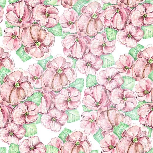 Flowers with leaves draw in colored pencils and ink. Spring composition. Seamless pattern on white background.