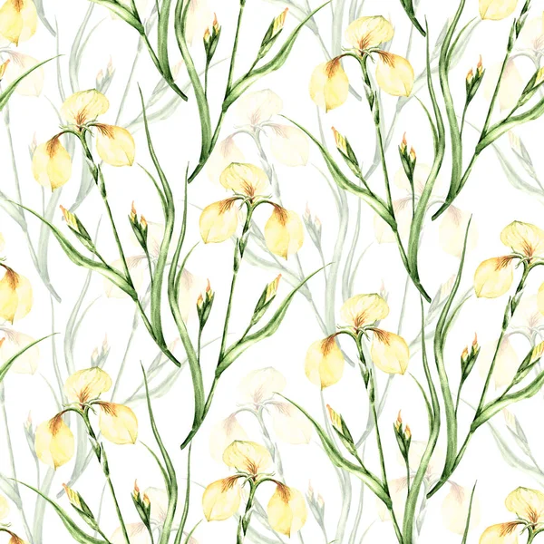 Garden Flowers Lily Painted Watercolor Seamless Pattern White Background Illustration — Stock Photo, Image