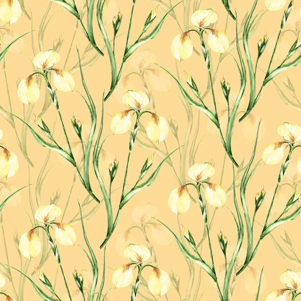 Garden Flowers Lily Painted Watercolor Seamless Pattern Orange Background Illustration — Stock Photo, Image