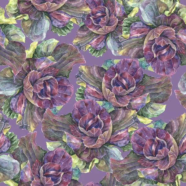 Decorative Cabbage Painted Watercolor Seamless Pattern Violet Background Illustration Decoration — Stockfoto