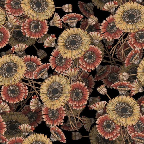 Kwiat Gerbera Liść Rysuję Kolorowy Ołówek Płynny Wzór Czarnym Tle — Zdjęcie stockowe