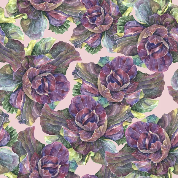 Garden Colorful Cabbage Painted Watercolor Floral Seamless Pattern Pink Background — Stock Photo, Image