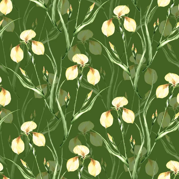 Garden Flowers Iris Painted Watercolor Leaf Floral Seamless Pattern Green — Photo