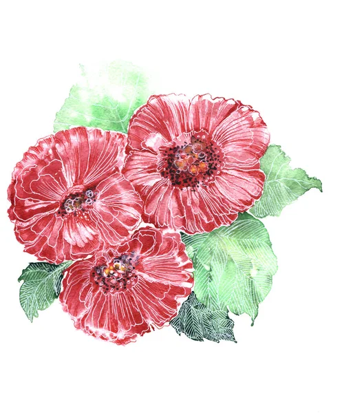 Watercolor Blooming Flowers Foliage White Background Floral Composition Decorations Textiles — 스톡 사진