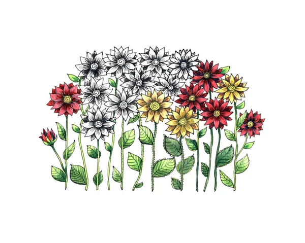 Flowers Leaves Draw Colored Pencils Floral Composition White Background —  Fotos de Stock