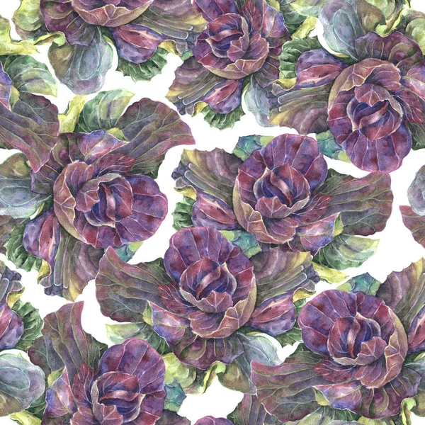 Watercolor Decor Cabbage White Background Seamless Pattern Floral Composition Decorations — Stockfoto