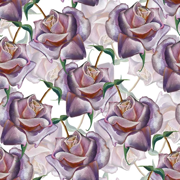 Flowers rose with leaves draw in colored pencils. Spring composition. Seamless pattern on white background.