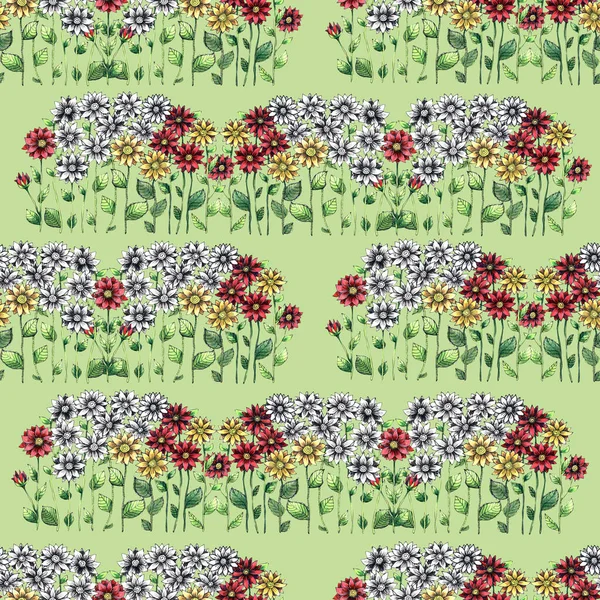 Meadow Flowers Painted Watercolor Seamless Pattern Green Background Illustration Decoration — Stock Photo, Image