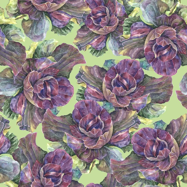 Garden Decorative Cabbage Painted Watercolor Seamless Pattern Green Background Illustration — Stock Photo, Image