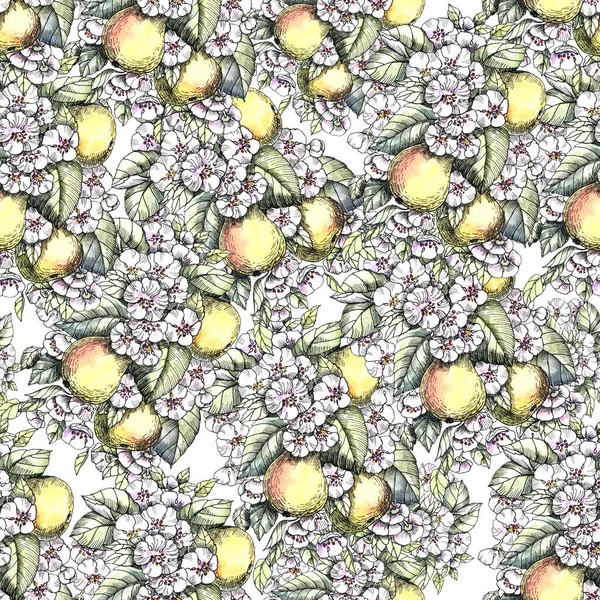 Flowers Fruit Pear Painted Watercolor Seamless Pattern White Background Illustration — Zdjęcie stockowe