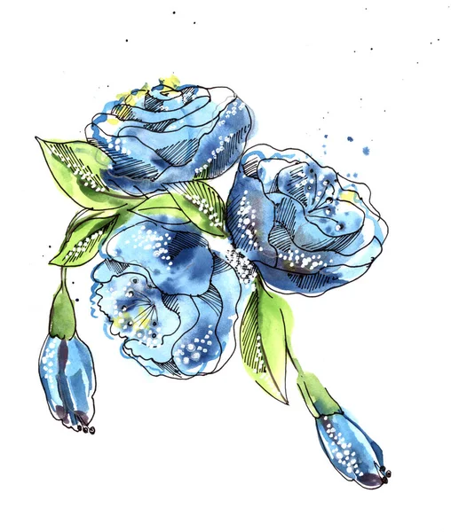 Garden Flowers Blue Rose Painted Watercolor White Background Illustration Decoration – stockfoto