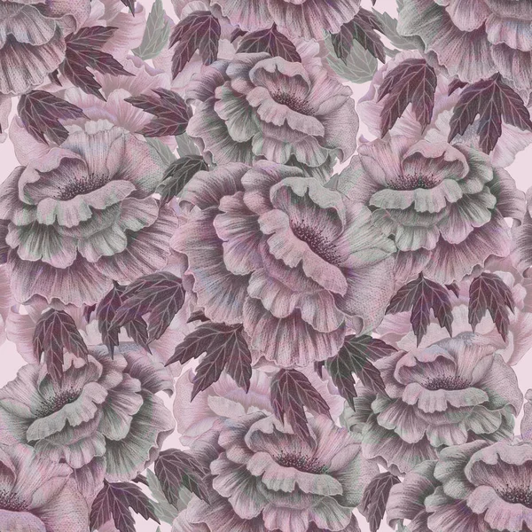 Seamless pattern with hand drawing flowers peony on pink background.