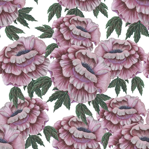 Seamless pattern with hand drawing flowers peony on white background.