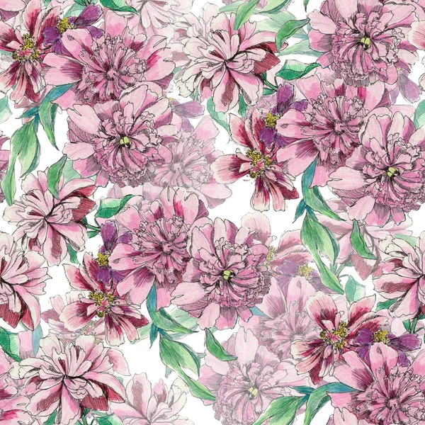 Watercolor garden flowers peony. Seamless floral pattern on white background.