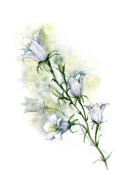 Trädgård Klocka Blommor Målade Akvarell Vit Bakgrund Illustration För Dekoration — Stockfoto