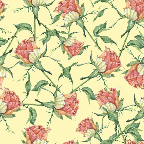 Garden Flowers Rose Painted Watercolor Leaf Floral Seamless Pattern Cream — Stock Photo, Image