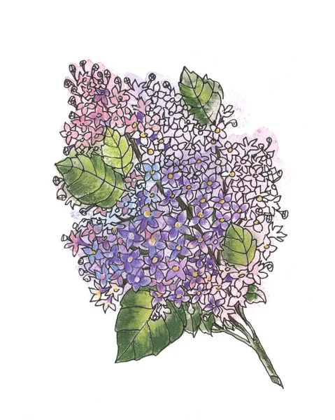 ギフト包装紙 壁紙や織物のための白い背景に水彩庭の花ライラック — ストック写真