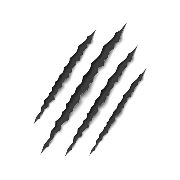 Tiger scratch claw. Slash from claw of bear, lion and cat. Mark of tiger. Scratch of paw of werewolf, animal. Paper with texture of attack of monster. Horror on halloween. Vector.