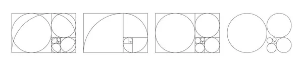 Golden Ratio Spiral Spiral Fibonacci Golden Ratio Section Geometry Proportion — Stockový vektor