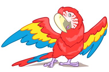 çizgi film Amerika papağanı