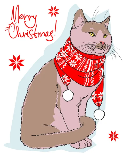 猫付きクリスマスカード — ストックベクタ
