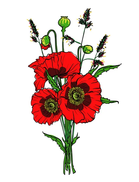 Roter Mohn — Stockvektor