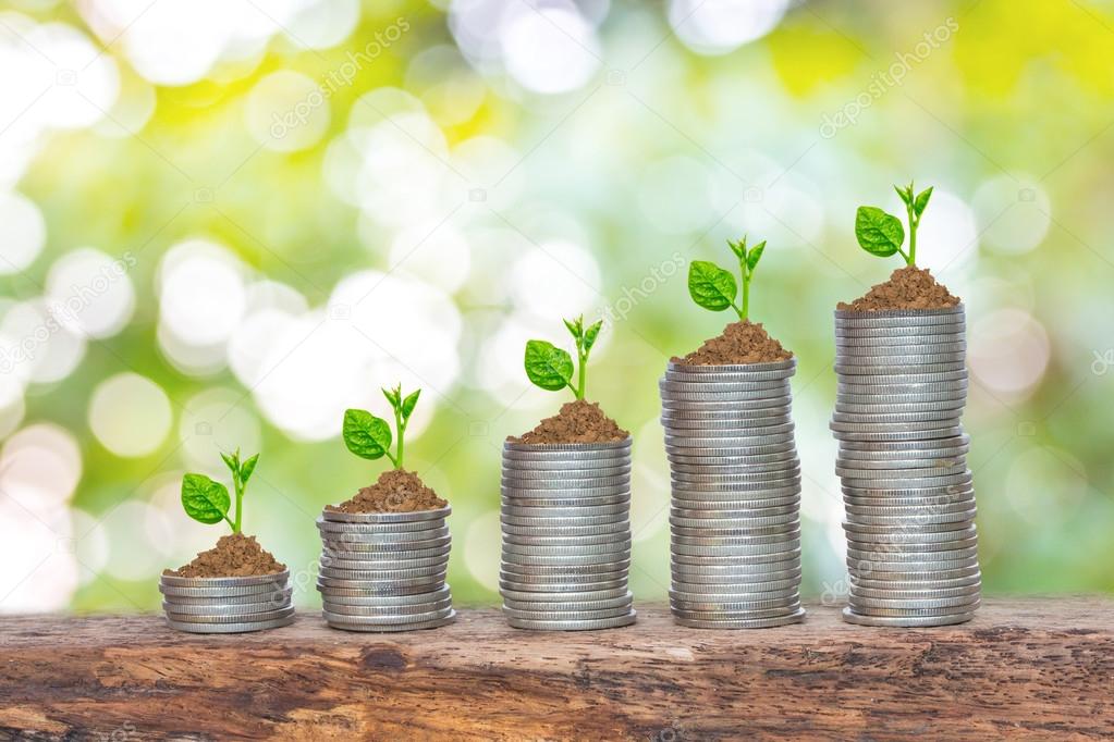 trees growing in a sequence of germination on piles of coins