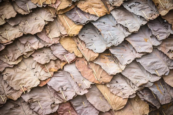 Bakgrund av traditionella hut tak av stora blad, thailan — Stockfoto