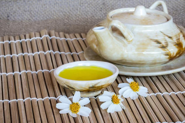 Still life tea pot and empty cup — Stock Photo, Image