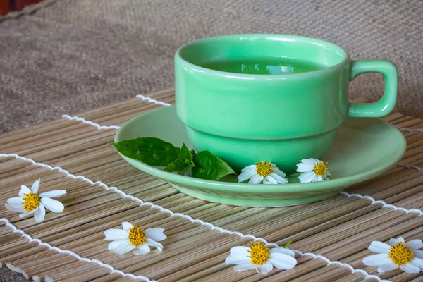 Cup with green tea and green leaves — Stock Photo, Image