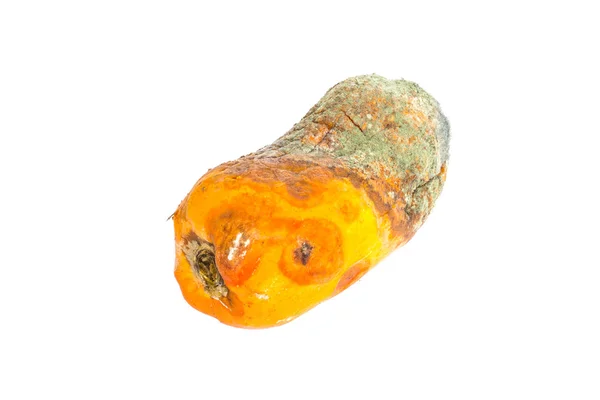 Beyaz zemin üzerinde bir çürümüş papaya — Stok fotoğraf