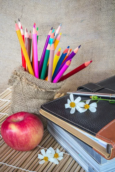Back to school. To study — Stock Photo, Image