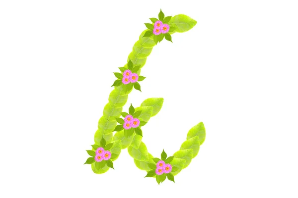Photograph of Leaves Letter k — Stock Photo, Image