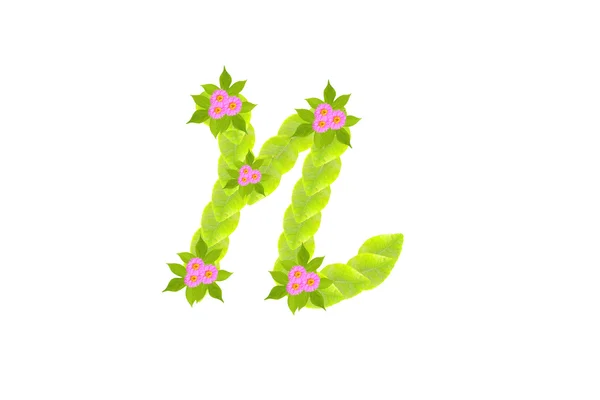 Photograph of Leaves Letter n — Stock Photo, Image