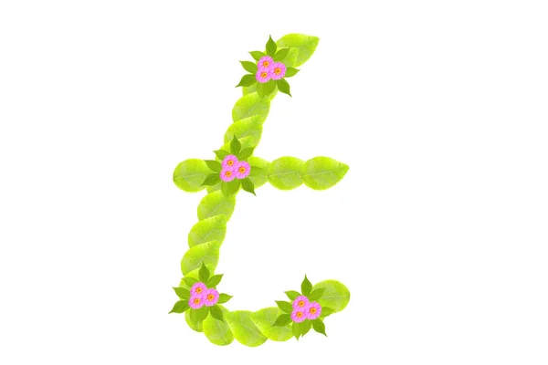 Photograph of Leaves Letter s — Stock Photo, Image