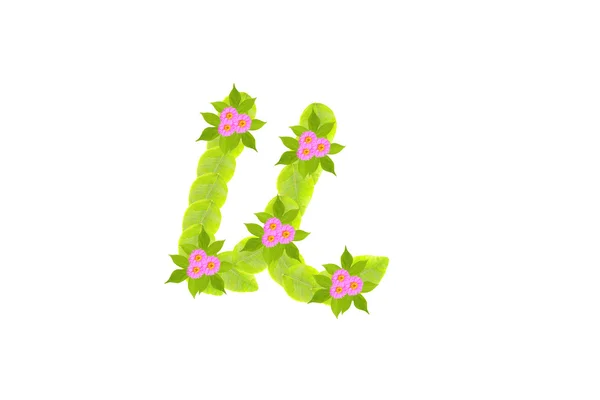 Photo of Leaves Letter u — стоковое фото