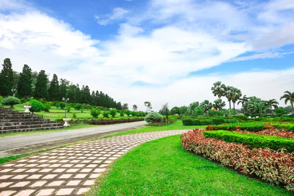 Garden flowers in Chiang Rai, Thailand Stock Image