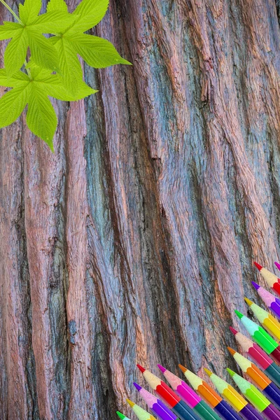 Kleur potloden op hout — Stockfoto
