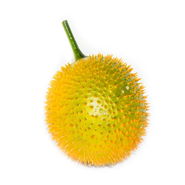 En southeast asiatisk frukt, ofta känner som gac, baby jackruit, sp — Stockfoto
